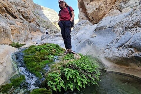 Explora Wadi Qurai Naturaleza, zoco y pueblo viejo, senderismo y natación
