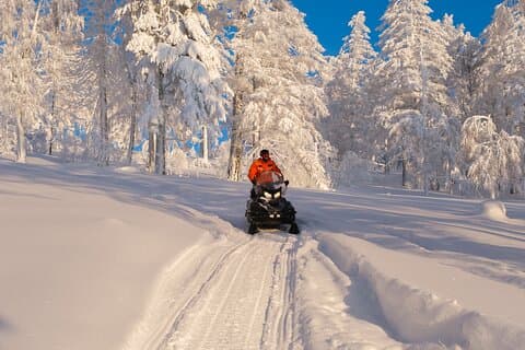 Motoslitta Tromso - Esplora la natura artica di giorno