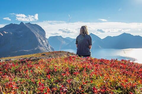 Fjordekspedisjon: Arktisk eventyr venter