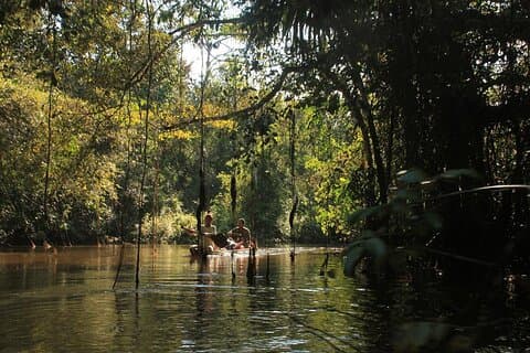 4 Day Amazon Jungle Expedition Pacaya Samiria National Reserve