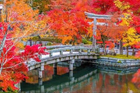 Kyoto Must Do : Eikando, Nanzenji, Zen Tempel & Geheimnisse