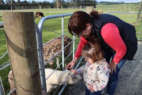 Milford Sound Nature and Te Anau Farm Visit Over 2 Days