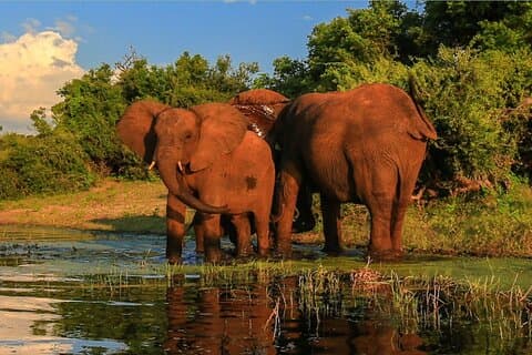 3 - Jours Safari Hluhluwe Imfolozi et iSimangaliso Wetlands Park