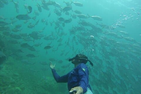 Snorkling eventyr på Caño Island
