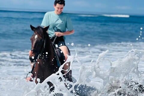 Privat Bali Hestur