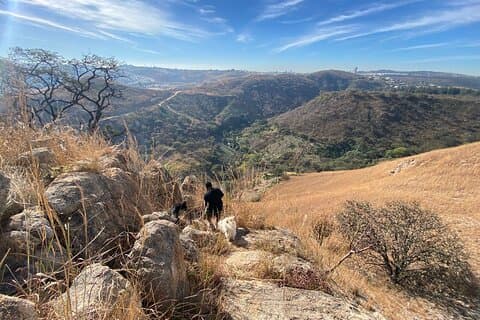 Hiking in Guadalajara and a fabulous panoramic brunch “El Diente"