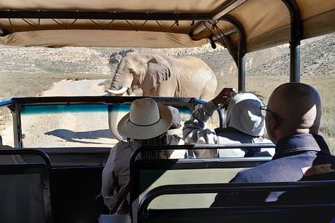 Le Cap Big Five Safari & dégustation de vin Journée complète All Inclusive