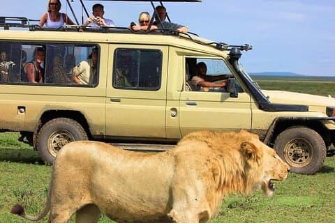 Nairobi National Park Experiência de Tour Privado com Jeep 4WD.