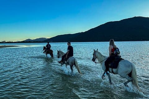 Florianópolis Paardrijden in een uniek landschap