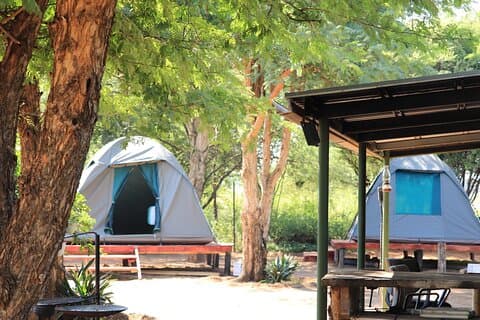 2 Tage Tlou Zelt Safari Camp in Pilanesberg