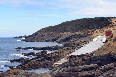 Scenic Bus Tour of the Northeast Avalon from St. John's