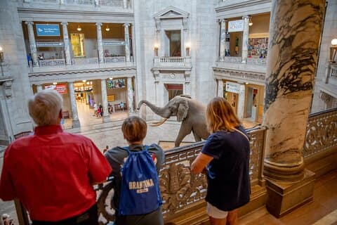O melhor de Washington DC: Ultimate Custom Private Tour