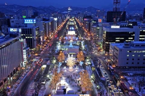 Sakura Trip Premium Chauffeur Service Hokkaido