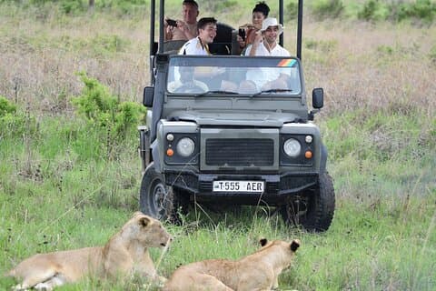 1 dag Mikumi Safari vanuit Dar ES Salaam met de trein
