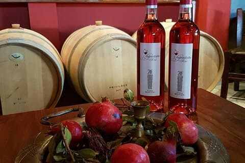 Olympia Boutique Expedition – Provsmakning av kulturarv, vin och olivolja