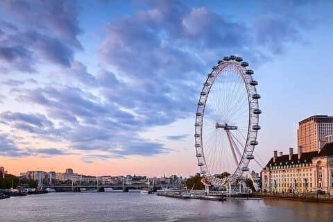 Visite privée Royal London et London Eye avec entrée