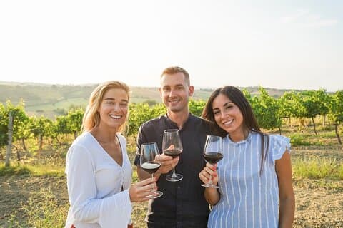 Cousiño Macul Private Premium 6 Wine Tastings & Tour