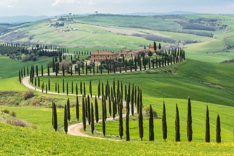 Livorno Shore Excursions Pisa/Florence(Private van 5 to 8 of you)