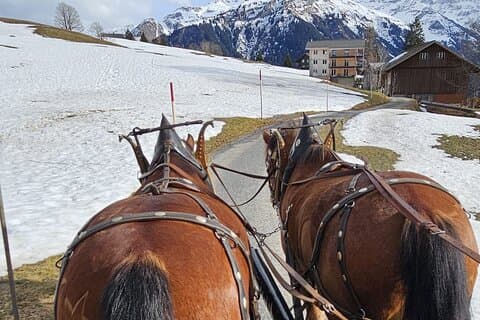 Winter Pferdekutschen-Erlebnis (Private Tour)