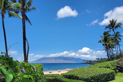 Maui Mini ritiro