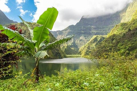 Aventura volcánica de Tahití – Tour privado de día completo por tierra