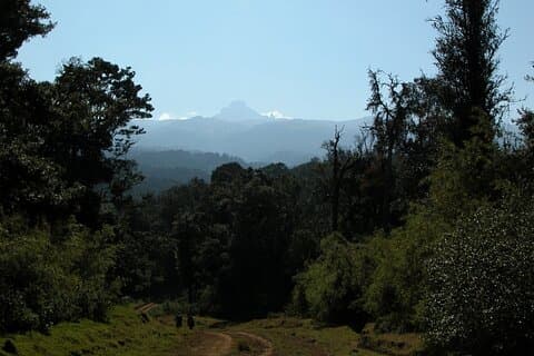 Mount Kenya Trek to Point Lenana 5 dias de aventura