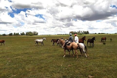 アルゼンチンの田舎で乗馬–ビギナーフレンドリー