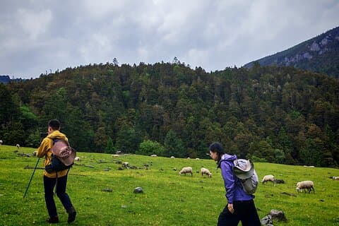3-dages privat vandretur fra Haba Village til Tiger Leaping Gorge