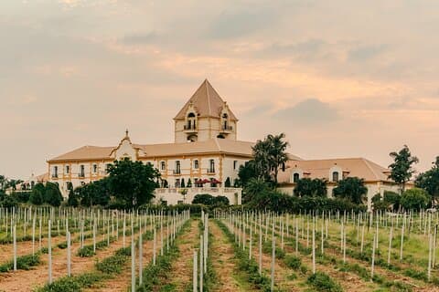 Estate Wine Tour Hotel Irada Pune