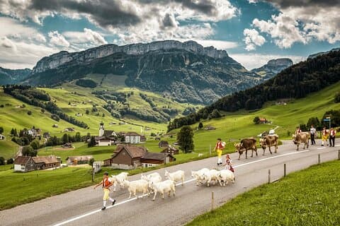 Appenzell Alper Dagstur fra Zürich – Landbrugsliv og ostsmagning