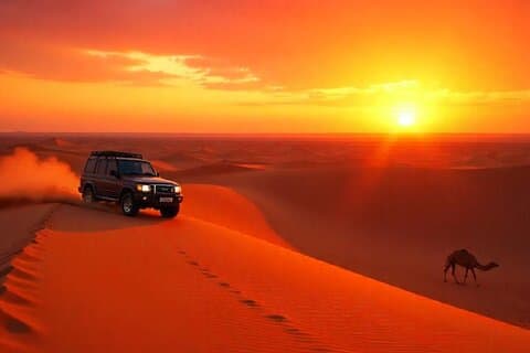 Morgen Desert Safari på Deling