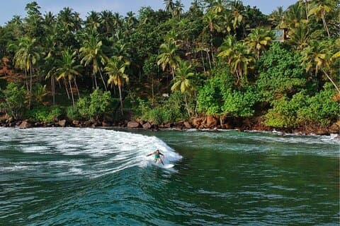 Sri Lanka Visite culturelle de 9 jours avec entrée et frais d'aventures