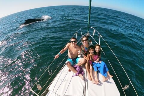 Humpback Whales Courtship and Whales in Punta Mita