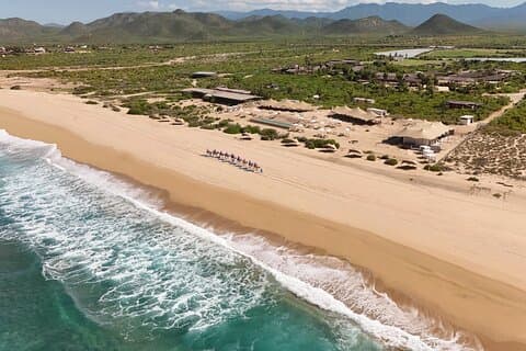 ATVs, UTVs, and Camel Ride in All Access Adventure Park and Beach