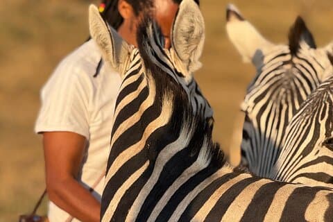 Full Day Serval Wildlife Sanctuary and Hot Springs Tour