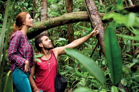 Jungle in Amazon World