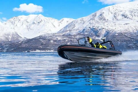 Tour di un'intera giornata di osservazione delle balene artiche di Tromso