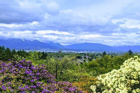 Visite d'une demi-journée à Vancouver en privé