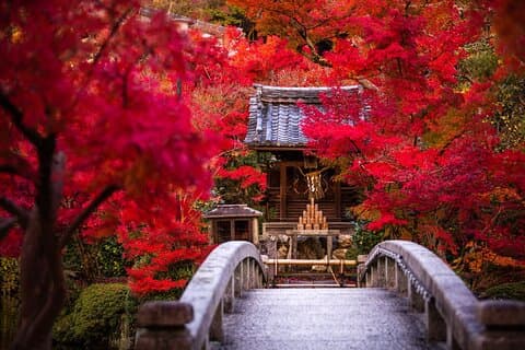 Kyoto: Gelassener Spaziergang durch Eikandos zeitlose Tempelwege