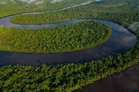 Isla Bonita Discovery – Tour privato di un'intera giornata da Iquitos