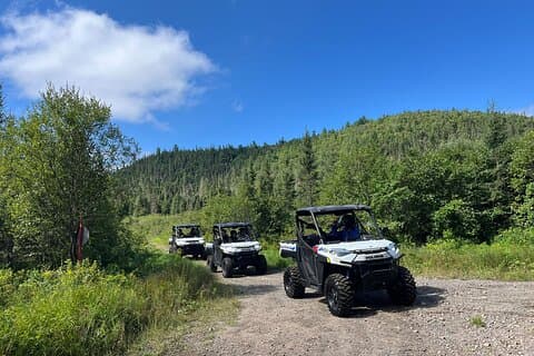 Boreal Immersion at the Saguenay Fjord