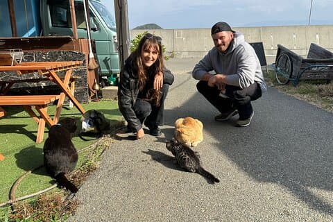 Ainoshima Island Cats Culture and Scenic Beauty Tour