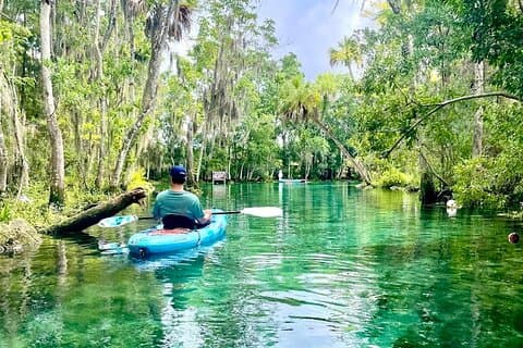 Crystal River Single Kayak Rental | 3 Hour | See The Manatees!