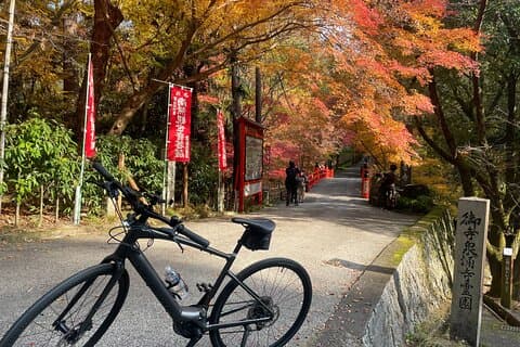 Private E-bike tour of Old Kyoto