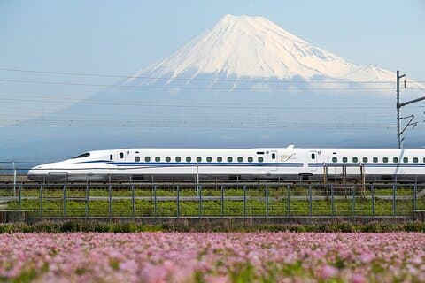 Viaggio in treno proiettile da Tokyo a Kyoto con 1 giorno di metropolitana e bus pass