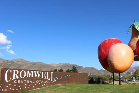 Queenstown to Lake Tekapo via Mt Cook Private Day Tour
