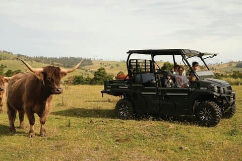 Tasmania Farm Tours and Richmond Old Town