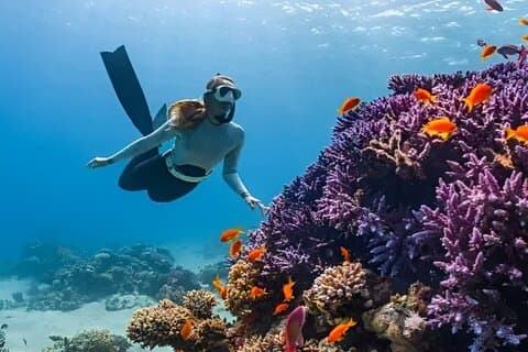 Gili Islands: Snorkeling Tour with Turtles and Statues