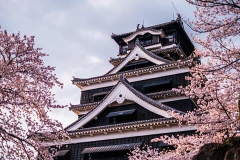 Kumamoto Cherry Blossom Spring Edition Day Tour from Fukuoka