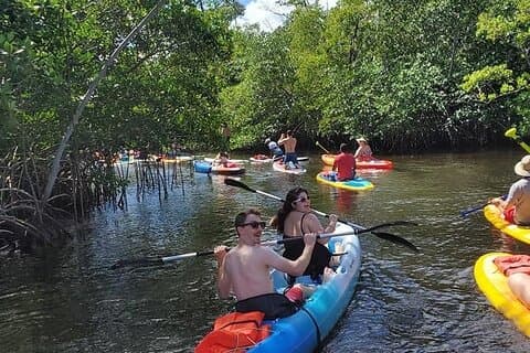 Tropiska Mangrove Wildlife Guided ECO Kayak & SUP Board Adventure